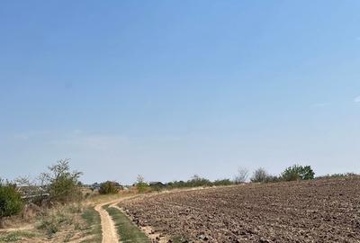 Teren de 10445 mp, în Cernica - 5