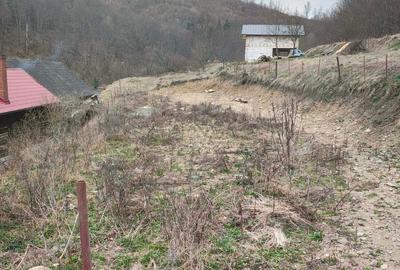 Spațiu comercial, în Lăpuștești - 6