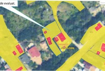 Casa si teren Valea Mare Podgoria, cota 1/2 , ID: R2618541 - 3