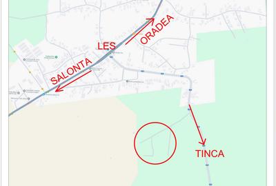 Spațiu comercial, în Leș - 1