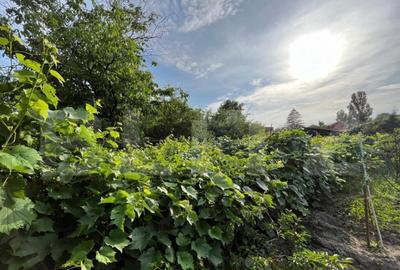 Casa D + P 150 mp utili ?i teren 1.347 mp, zona Stadionulu - 4