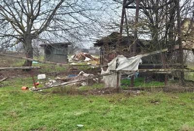 Teren Construcții intravilan de 1309 mp, în Brănești - 3