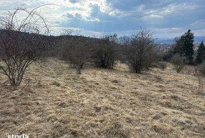 Teren de 6000 mp, în Cristian - 5