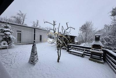 Casă individuală cu 4 camere cu Canalizare în Provița de Jos - 16