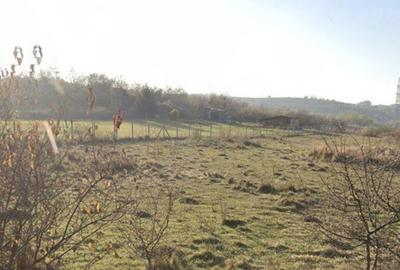 Spațiu comercial, în Borhanci