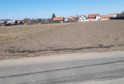 Teren de 2325 mp, în Lunca Calnicului - 7