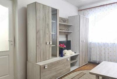 Apartament cu 2 camere decomandat în Gojdu - 11