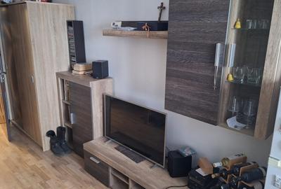 Garsonieră semidecomandată, mobilată în Noua - 4