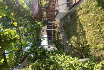 Casa parter 122 mp + teren 1502 mp Cerneteaz, Strada Daliei (central, drum asfaltat) - 1