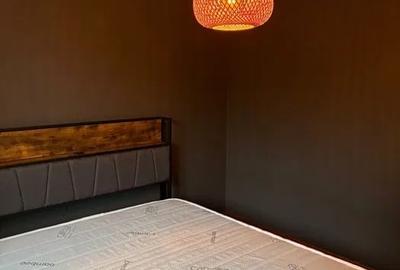 Inchiriere Apartament 2 Camere Proaspat Renovat Lux Soseaua Giurgiului - 4