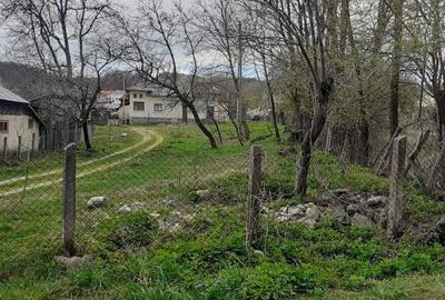 Casa de vanzare Domnesti Arges - 8