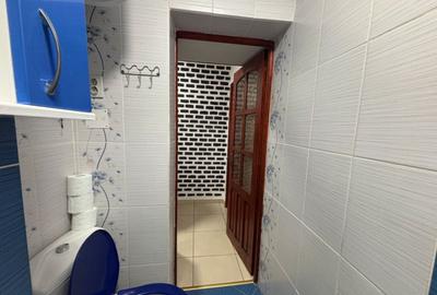 Apartament cu 3 camere semidecomandat, mobilat în George Enescu - 13