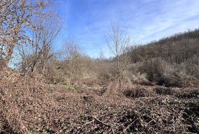 Spațiu comercial, în Odvoș - 3