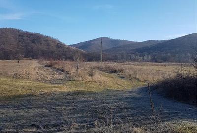 Teren de 40000 mp, în Balotești - 2