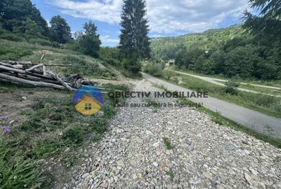 Teren cu o locatie de vis in Pangarati 53 m deschidere la st Teren cu o locatie de vis in Pangarati 53 m deschidere la st - 2