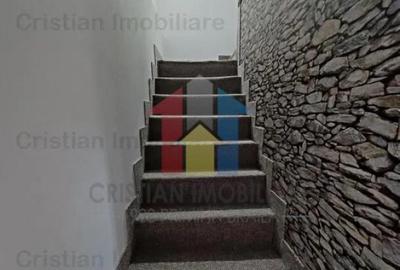 Vila P M 240mp utili si 400mp teren Radu Negru - 3