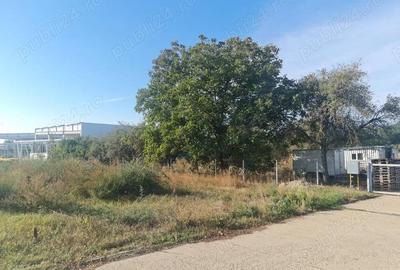 Teren de 3229 mp, în Bucovăț (Remetea Mare)