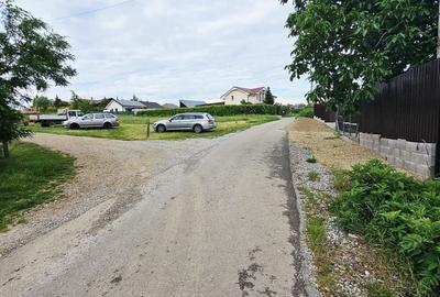 Teren Construcții intravilan de 780 mp, în Săldăbagiu de Munte - 3