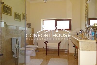 VILA SUPERBA IN IANCU NICOLAE - 21