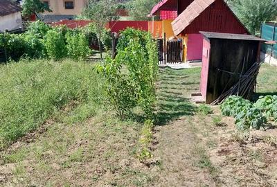 Casă cu 1 camere în Ormeniș - 4