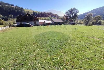 Casa in Vatra Dornei, zona Argestru, cu 11.541m.p. TEREN INTRAVILAN - 8