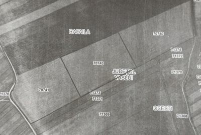 Teren agricol extravilan de 91500 mp, în Rafaila - 1