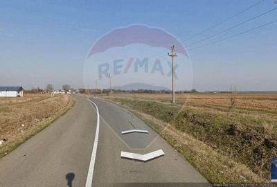 Teren intravilan - 2,5 ha/loc. Vizuresti, Dambovita,deschidere DJ - 5