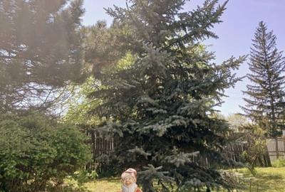 Vila in Barcanesti cu  unic proprietar, aproape de orasul Urziceni - 2