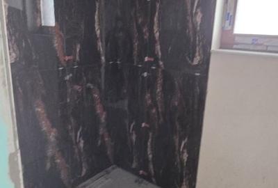 VILA P+1+Mansarda Comuna Berceni COMISION 0% - 8