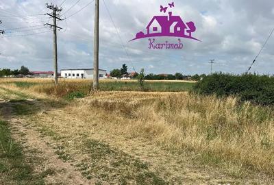 Teren de 28100 mp, în Gepiu - 1