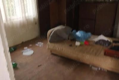 Casă cu 3 camere în Bretea Mureșană - 7