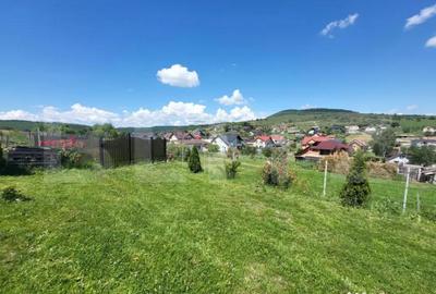 Teren de 1400 mp, în Centura - 6