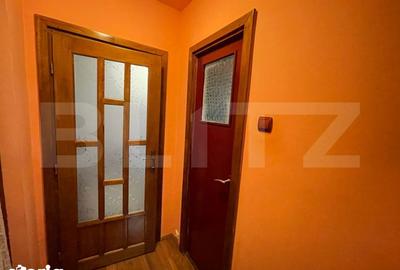 Apartament cu 2 camere în Brazda lui Novac - 8