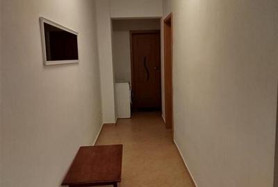 Apartament cu 2 camere decomandat, mobilat în Turnișor - 5