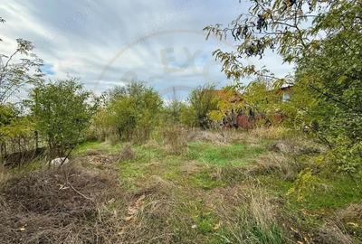 Teren pentru dezvoltare proiect imobiliar Domnesti-Centru - 11