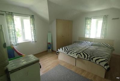 Casă cu Teren 1680 Mp în Govăjdia - 1