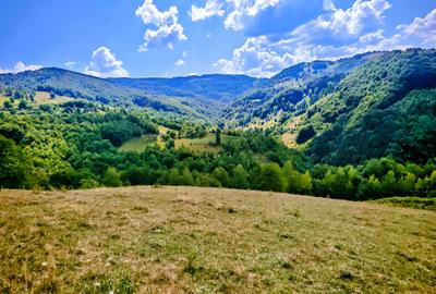 CASA TRADITIONALA, ANEXE si 46.980 mp teren partial INTRAVILAN BULZ - BIHOR - 29