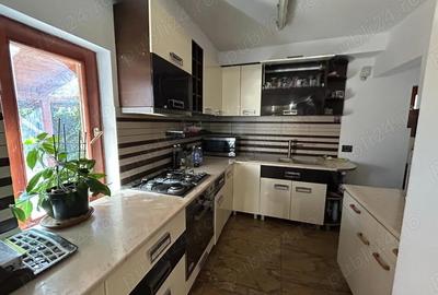 Inchiriez vila in Subcetate, P+M. - 3