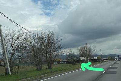 Teren Construcții intravilan de 5000 mp, în Șimian - 1