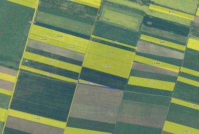 Spațiu comercial, în Giroc - 4
