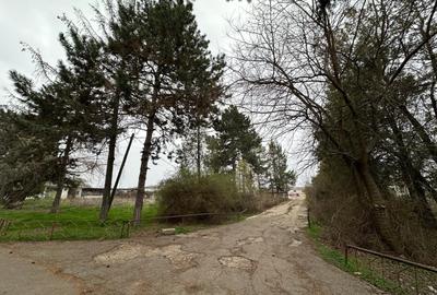 Teren Construcții intravilan de 37 mp, în Mogoșești - 4