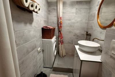 Garsonieră decomandată, mobilată în Bartolomeu - 7