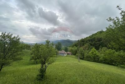 Teren 2,000mp Copalnic-Manastur / Strada Principala
