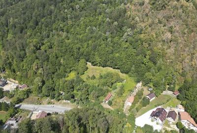 Teren intravilan de 1500 mp pe deal in Moneasa - 4