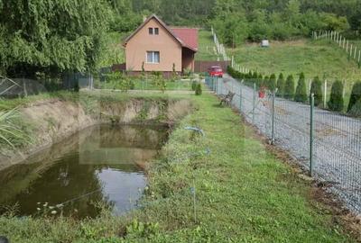 Casa cu teren generos si lac de pescuit – Ceuasu de Campie - 3