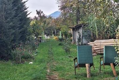 Casa de vanzare, Sacele, Brasov - 5