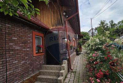 Casa / Vila 124 mp + foisor + garaj + teren intravilan ... - 3