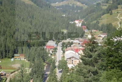 Teren Construcții intravilan de 250 mp, în Arieșeni - 2