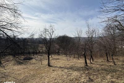 Spațiu comercial, în Central - 17