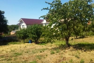 Casă cu Teren 1600 Mp în Central - 6